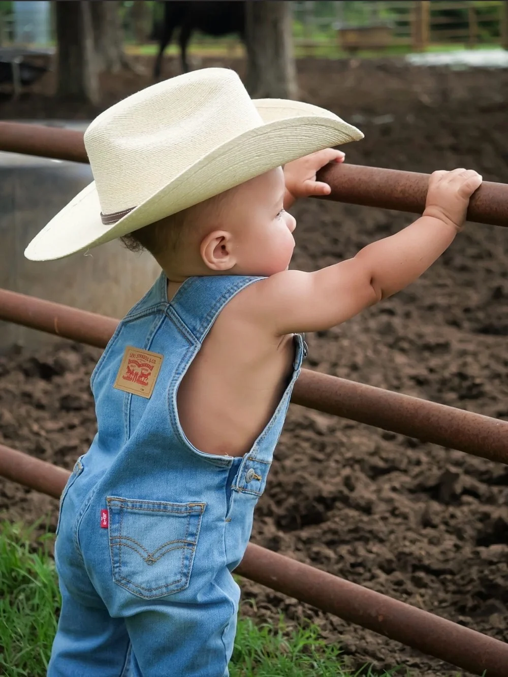 Levi's Light Blue Denim Kids Overalls